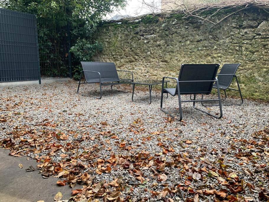 Appartements De Standing Centre Ville, Gare, Jardin,Terrasse Le Mans Buitenkant foto