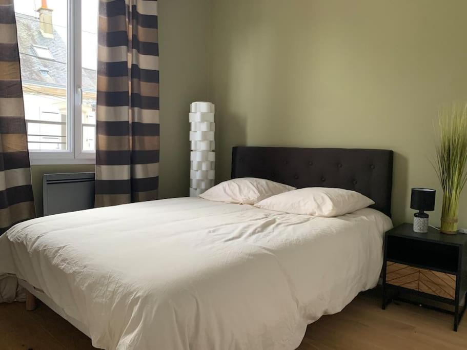 Appartements De Standing Centre Ville, Gare, Jardin,Terrasse Le Mans Buitenkant foto