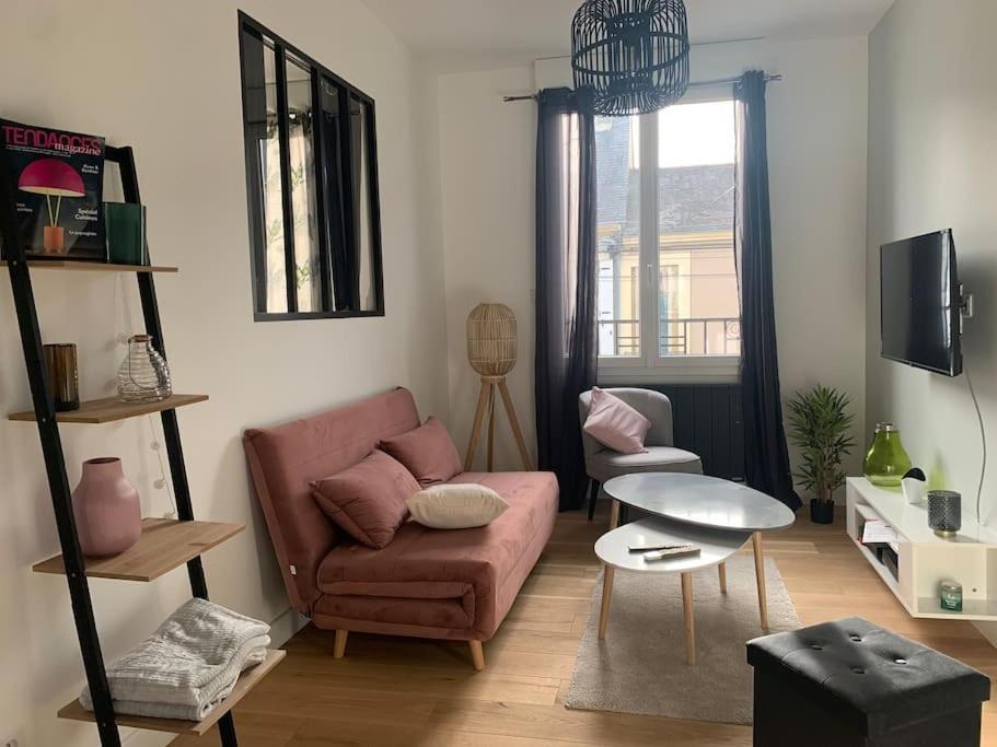Appartements De Standing Centre Ville, Gare, Jardin,Terrasse Le Mans Buitenkant foto